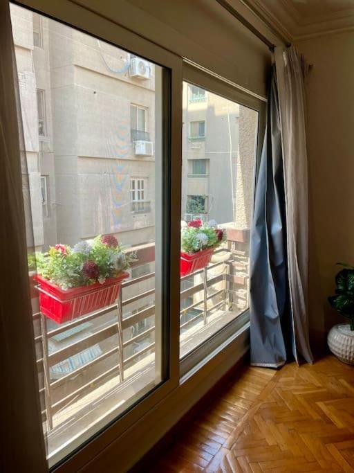 Cozy 2br In New Maadi Cairo