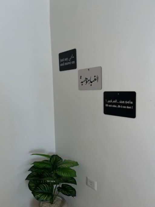 Cozy 2br In New Maadi Apartment Cairo